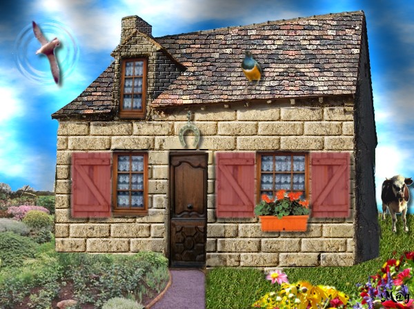 Image