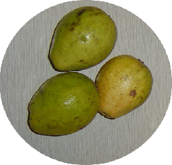 fruta