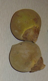 fruta