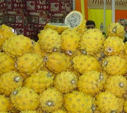 fruta