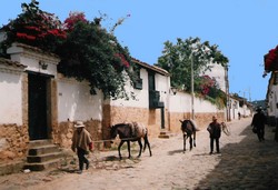 leyva