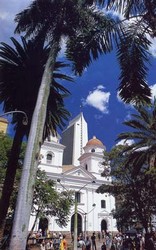medellin