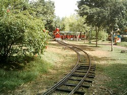 piscilago