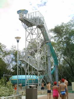 piscilago