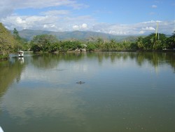 piscilago