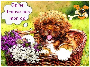 bulles