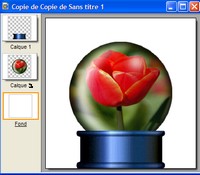 globe